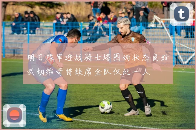 明日绿军迎战骑士塔图姆状态良好武切维奇将缺席全队仅此一人